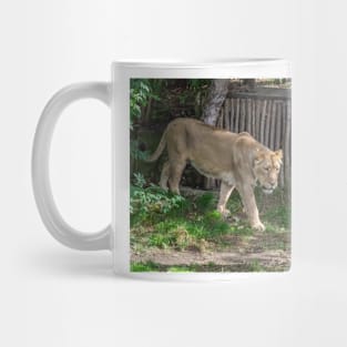 Lioness at the zoo Mug